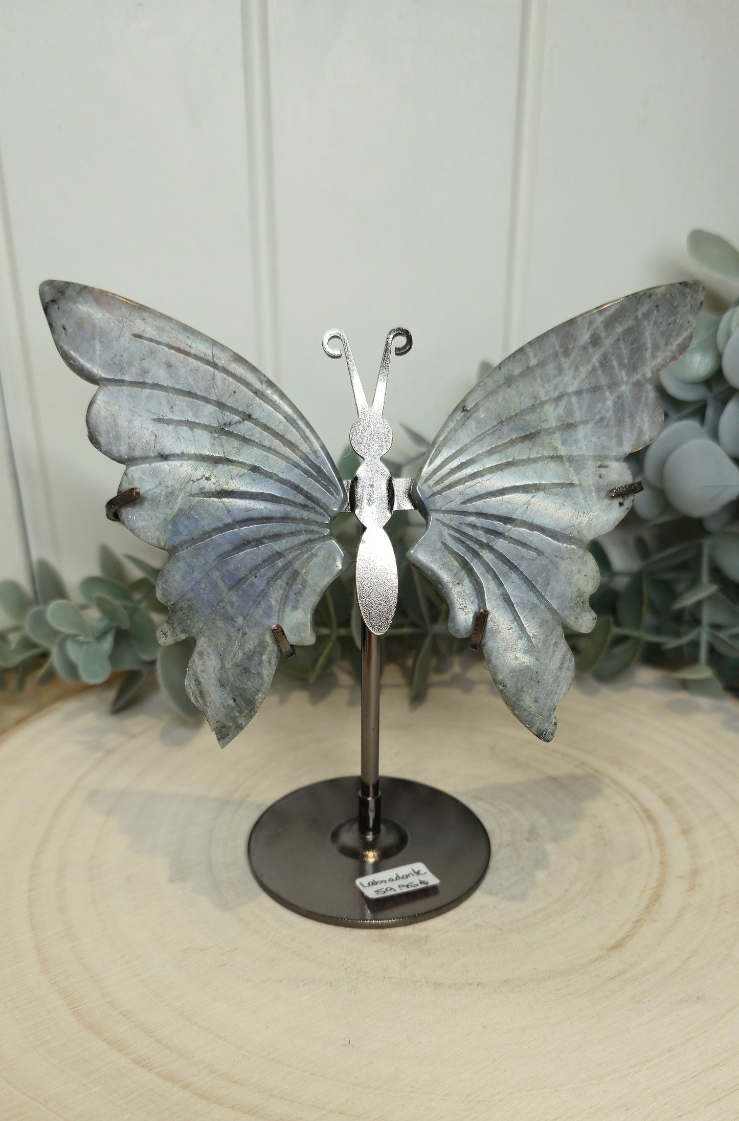 Papillon Labradorite *bris mineur*