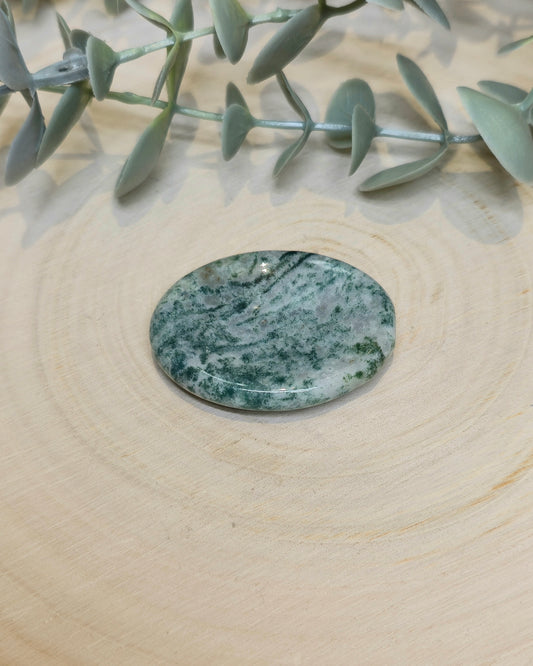 Agate Arbre Worry stone