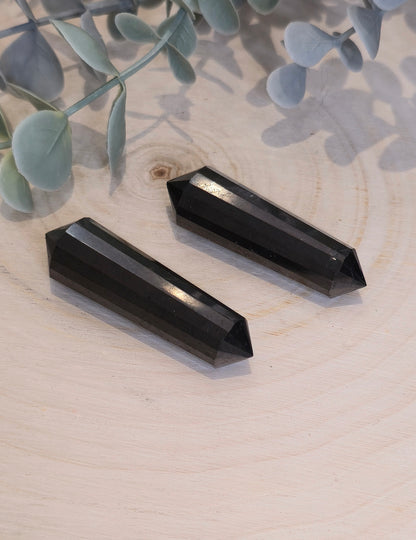 Pointe double en Shungite (Vogel)