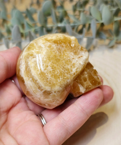 Crâne Calcite miel