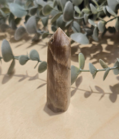 Pointe en Pierre de lune pêche