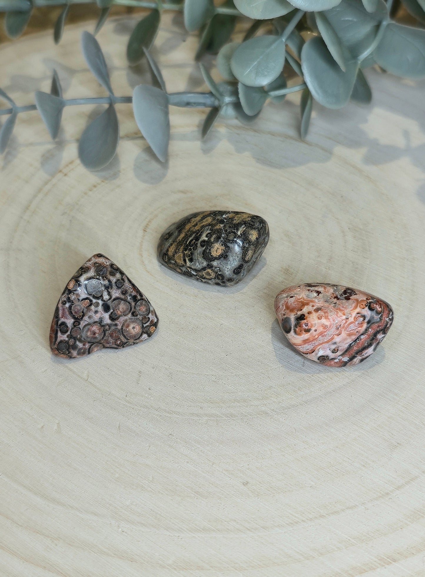 Jaspe Léopard barattée