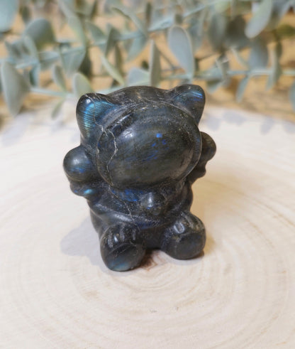 Chat astronaute Labradorite