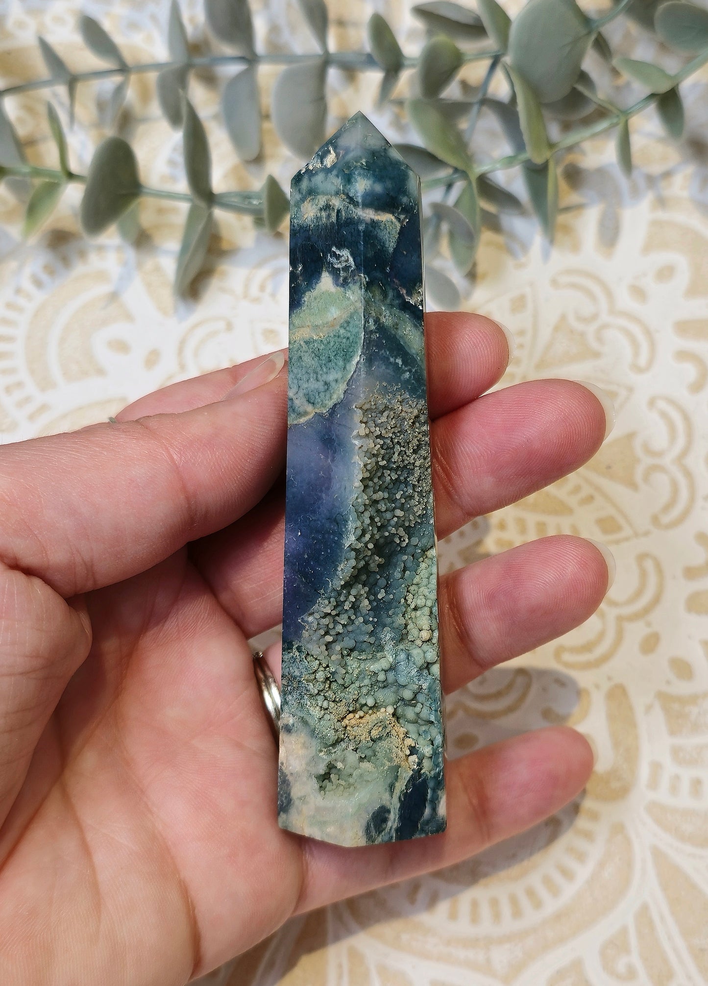 Pointe Agate raisin
