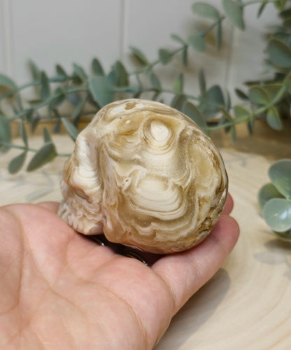 Crâne Agate Fleur ambrée