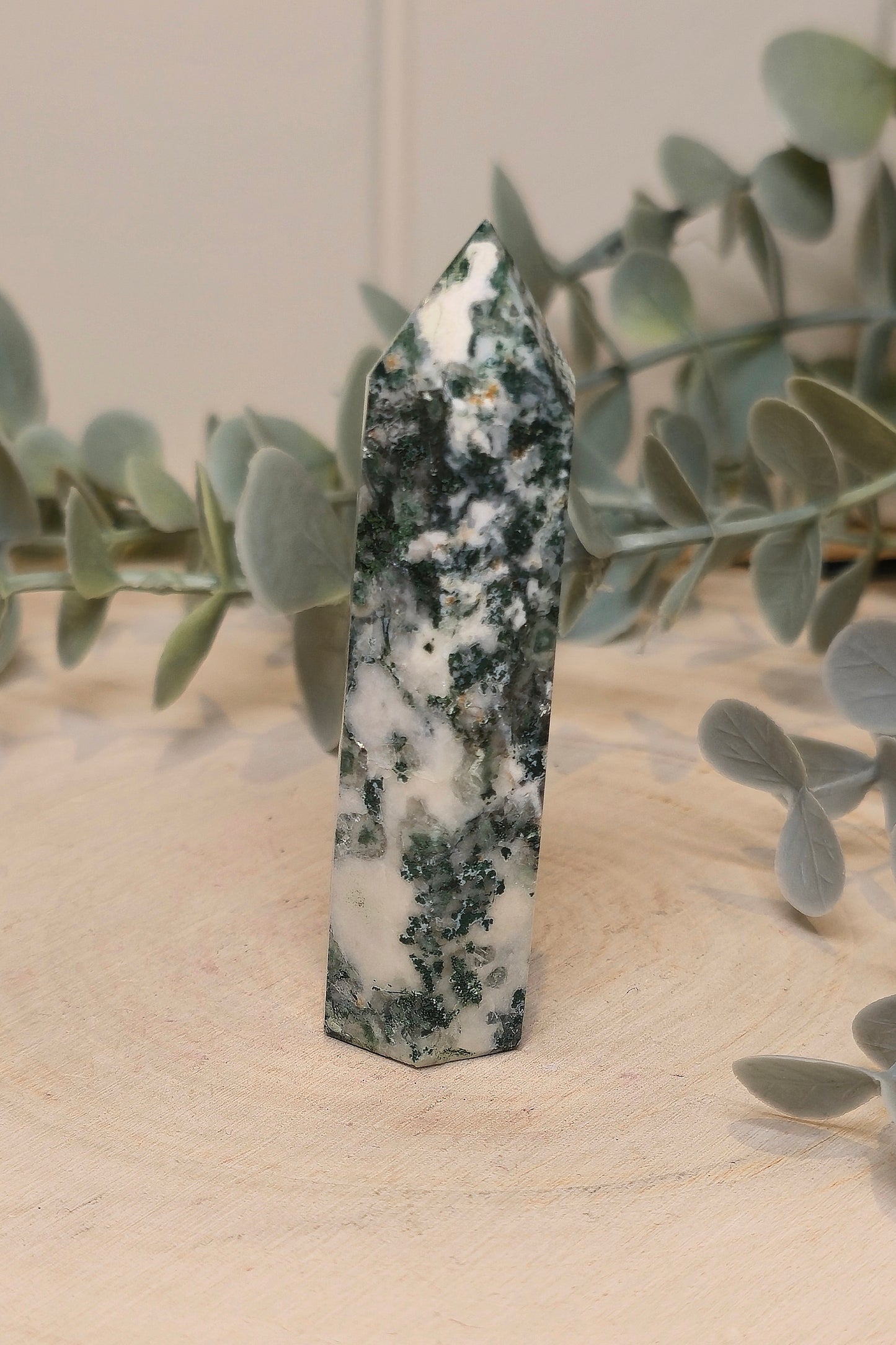Pointe en Agate arbre
