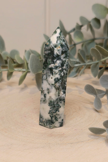 Pointe en Agate arbre