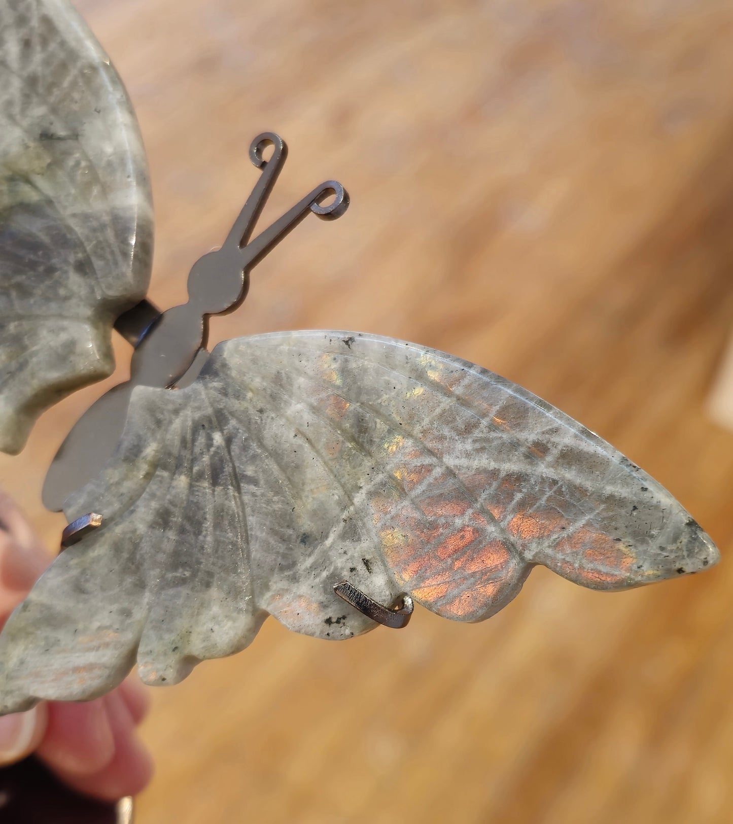 Papillon Labradorite