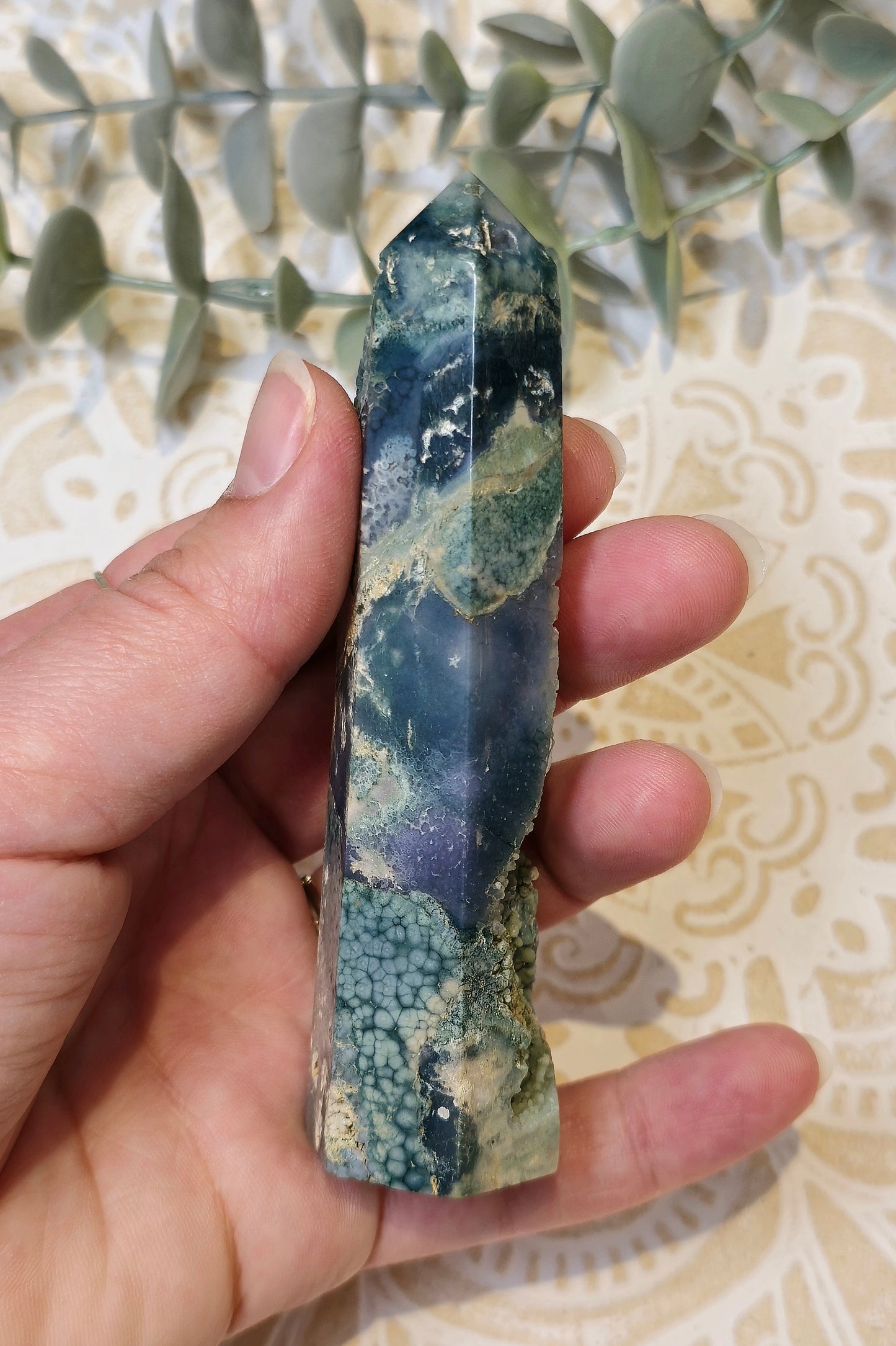 Pointe Agate raisin