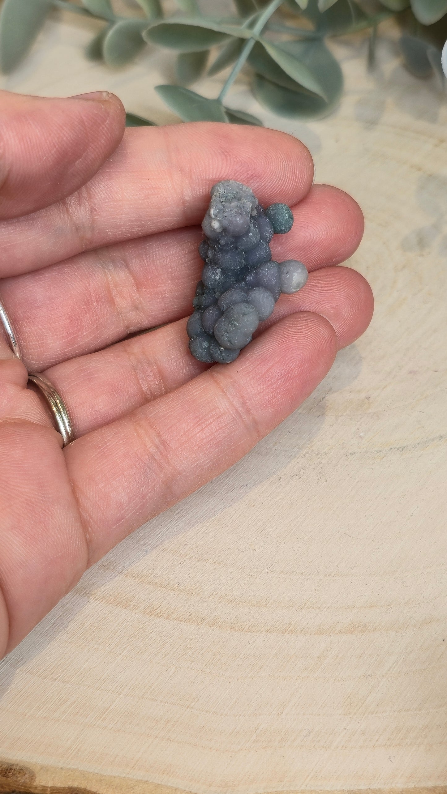 Agate raisin brute