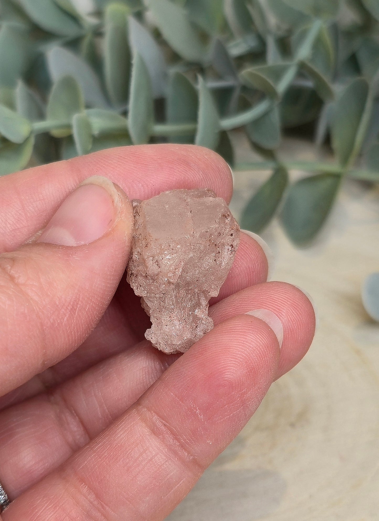 Quartz Nirvana brute