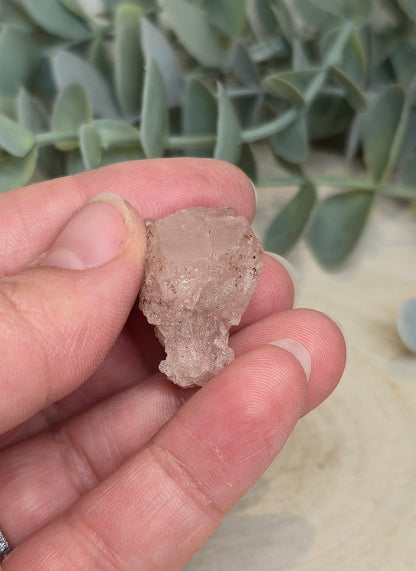 Quartz Nirvana brute