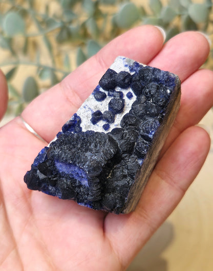 Fluorite blueberry (Bleu) brute