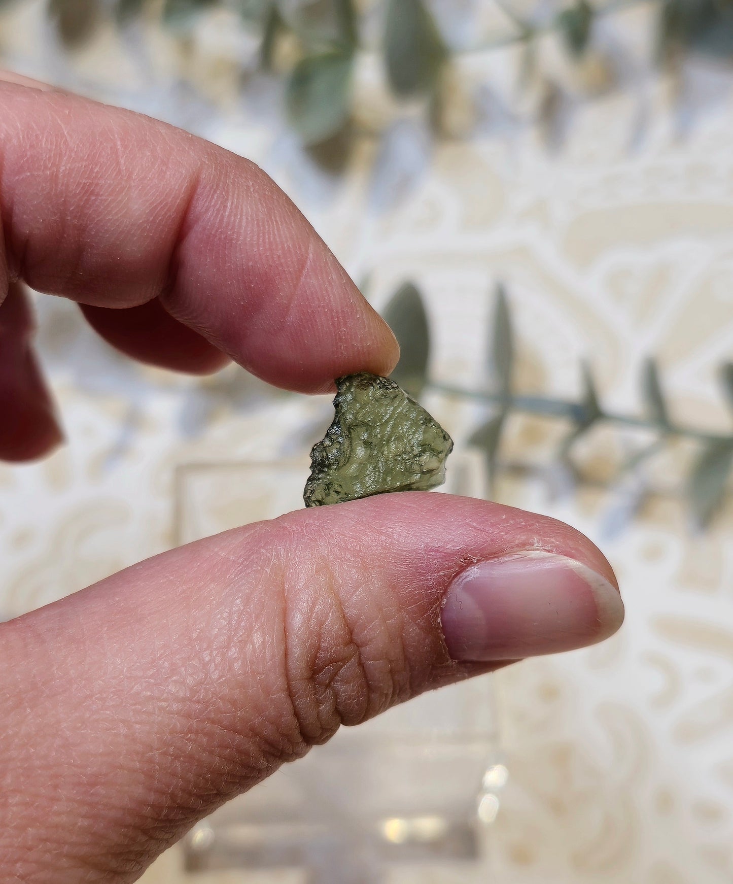 Moldavite brute