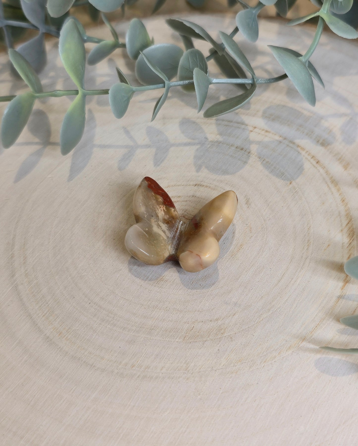 Papillon Jaspe rouge