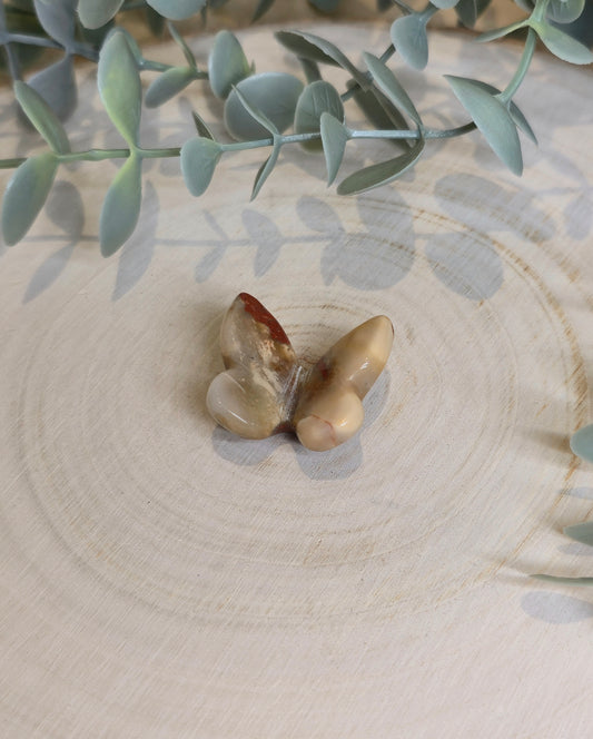 Papillon Jaspe rouge