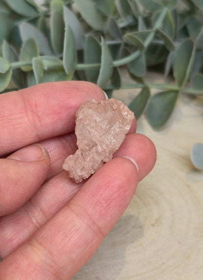 Quartz Nirvana brute