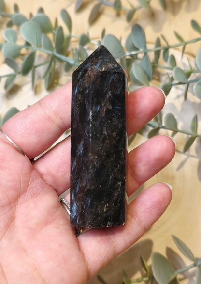 Pointe en Astrophyllite