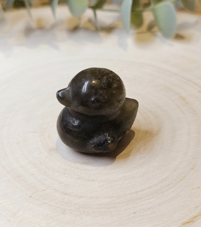 Canard Labradorite