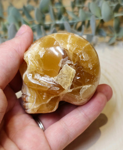 Crâne Calcite miel