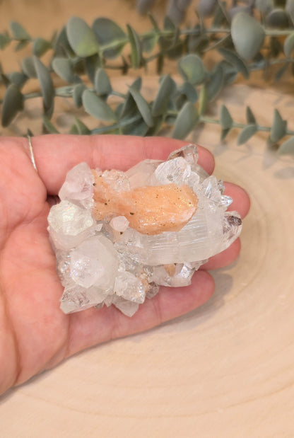 Apophyllite/Stilbite brute d'Inde