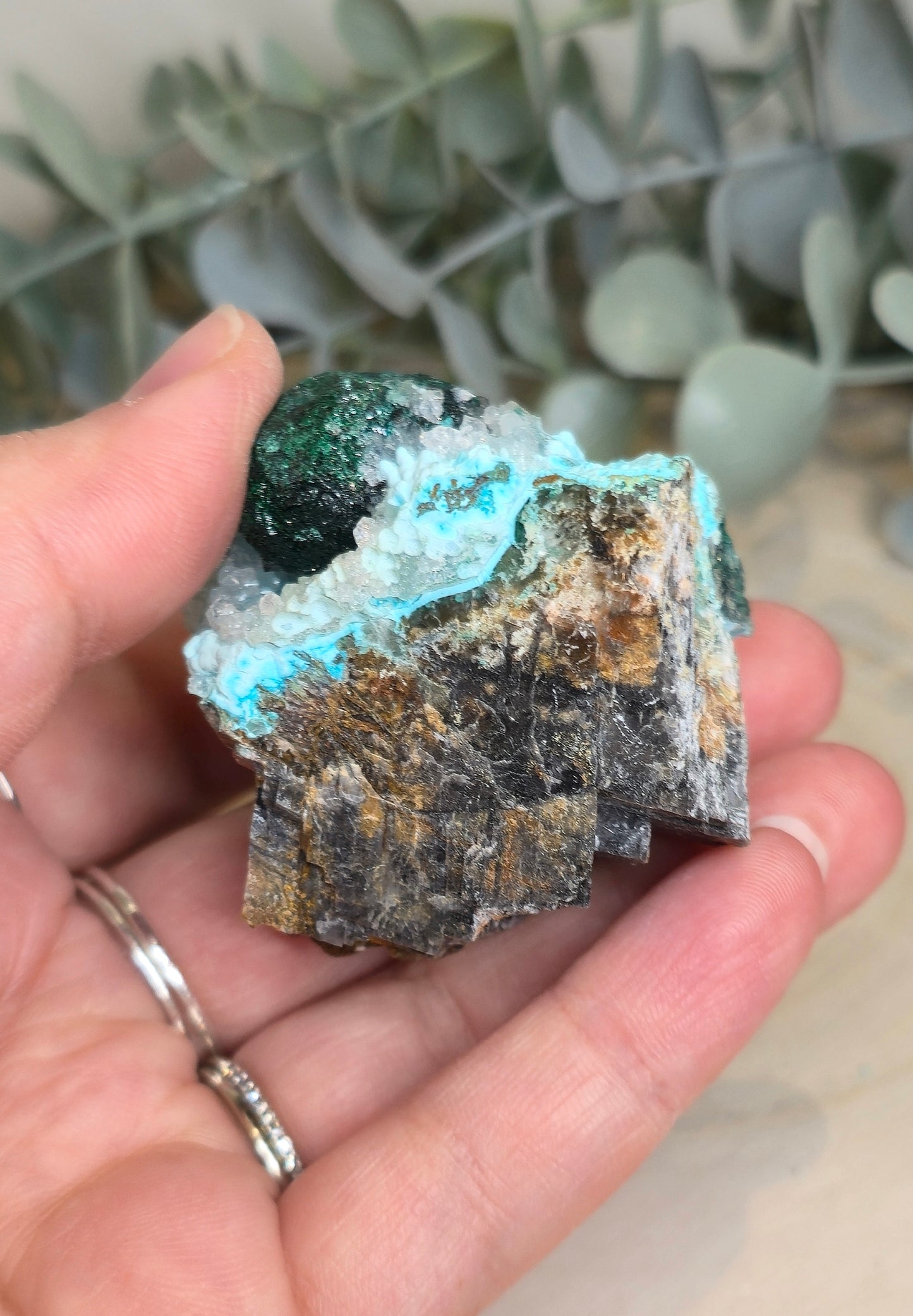Chrysocolle brute