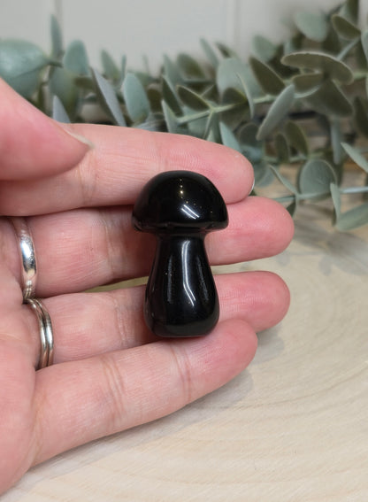 Champignon Obsidienne