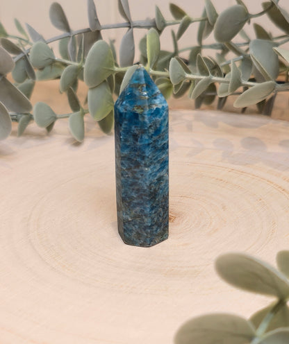 Pointe en Apatite