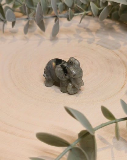 Éléphant Labradorite