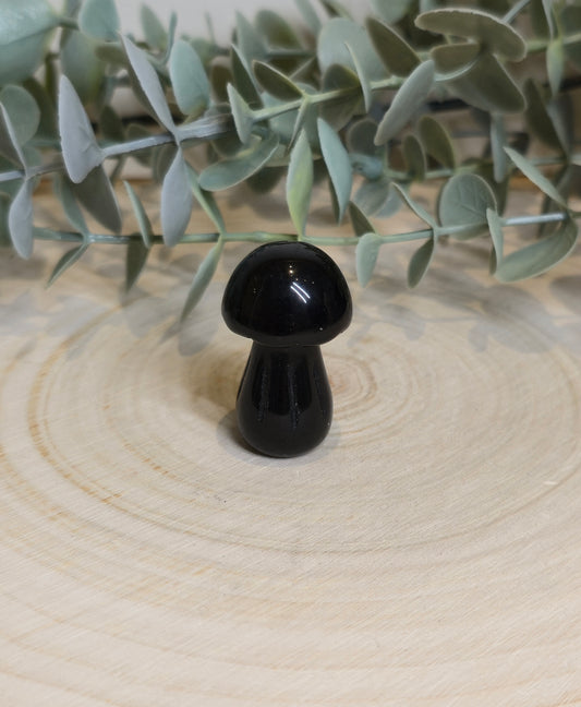 Champignon Obsidienne