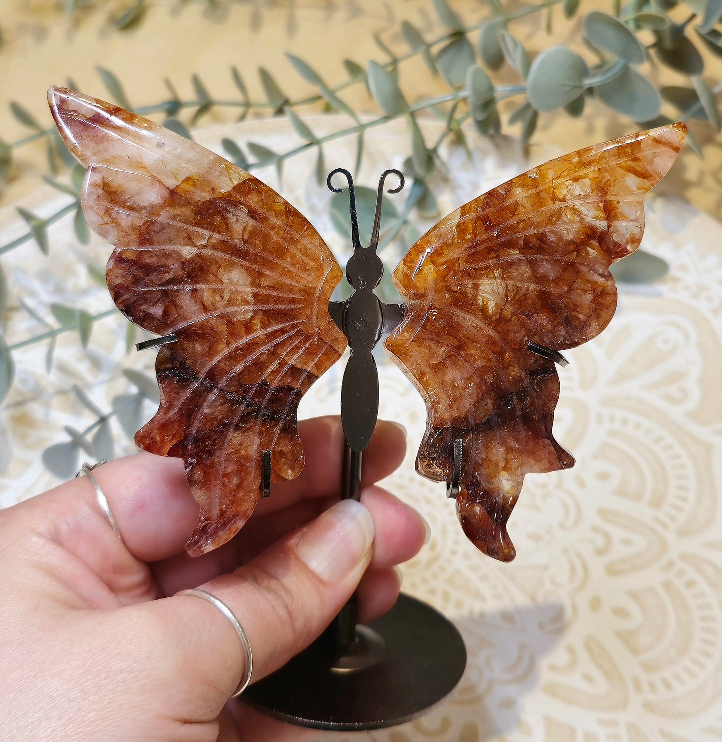 Papillon Golden Healer et Quartz feu
