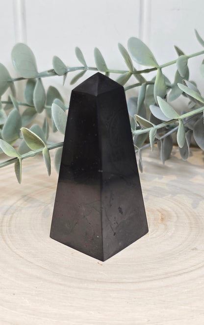 Pointe en Shungite