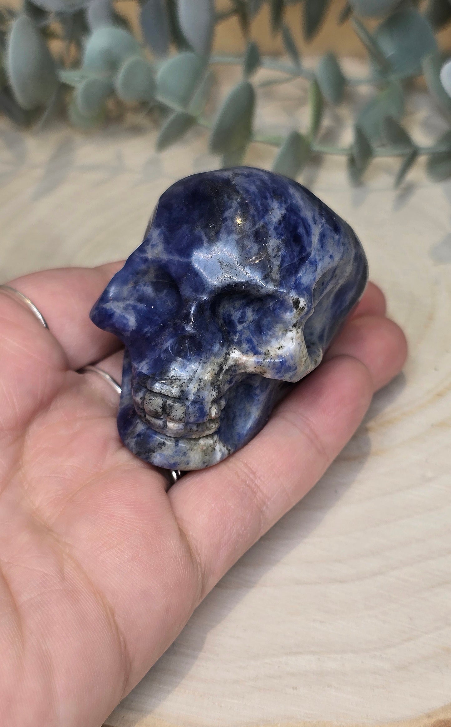 Crâne en Sodalite
