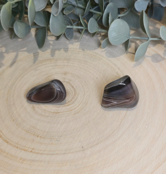 Agate Botwana barattée