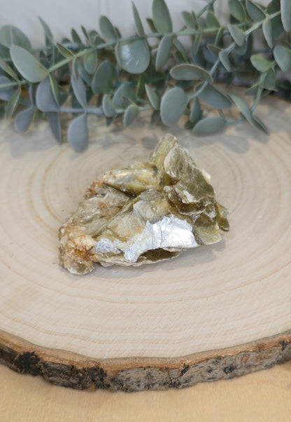 Muscovite du Brésil