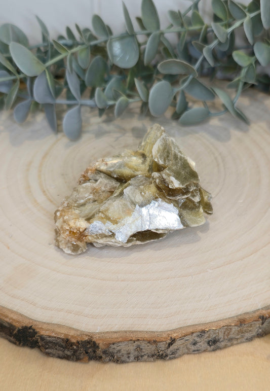 Muscovite du Brésil