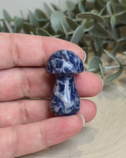 Champignon Jaspe bleu spot