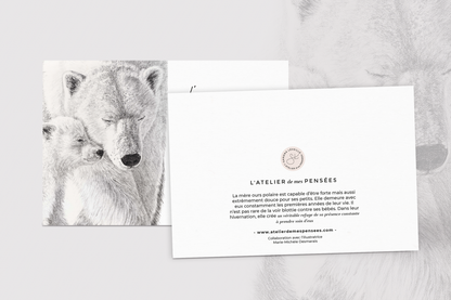 Carte de souhaits - La maman ours polaire et son bébé & L'Amour est un refuge