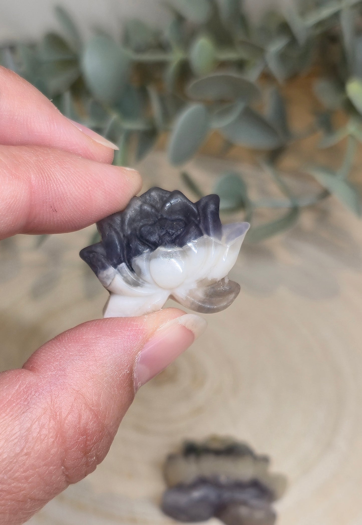 Lotus en Fluorite