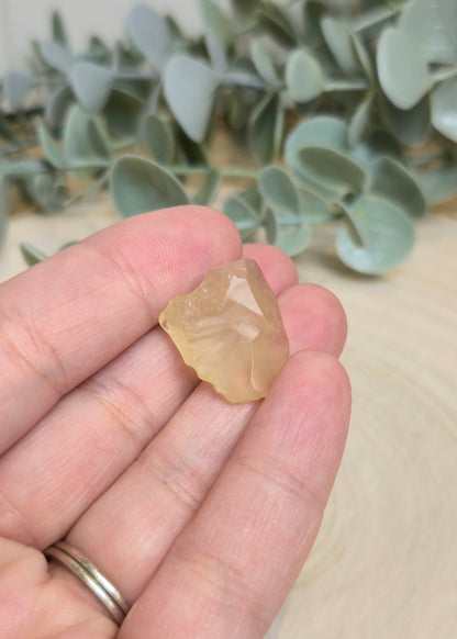 Verre de Libye du Désert du Sahara (Égypte)