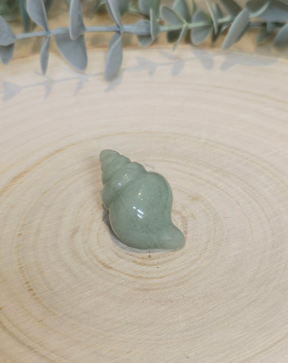Coquillage Aventurine verte