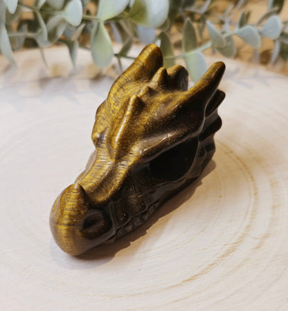 Dragon Oeil de tigre