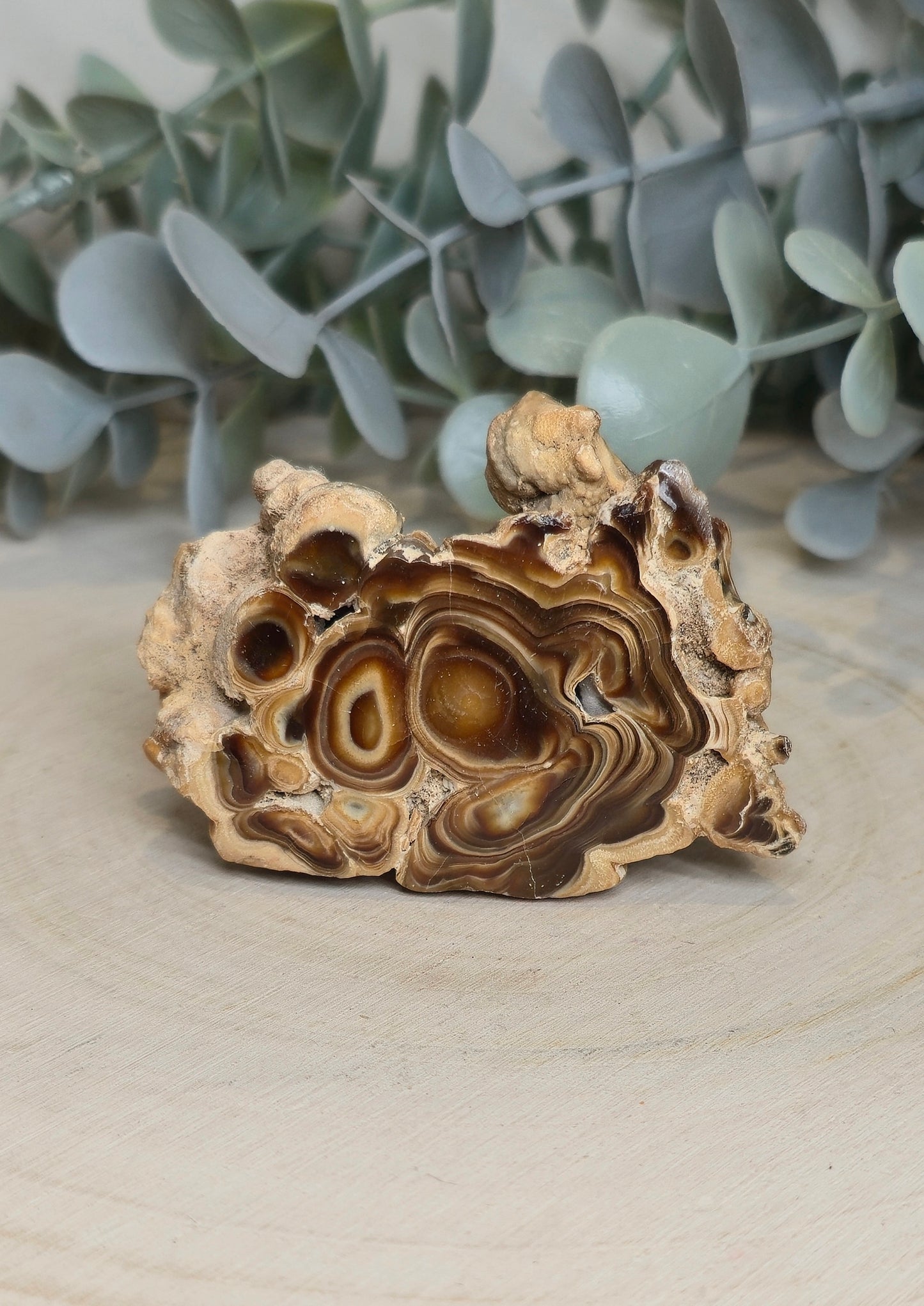 Tranche de Stalactite Aragonite