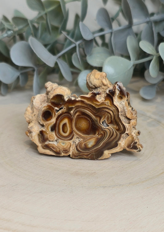Tranche de Stalactite Aragonite