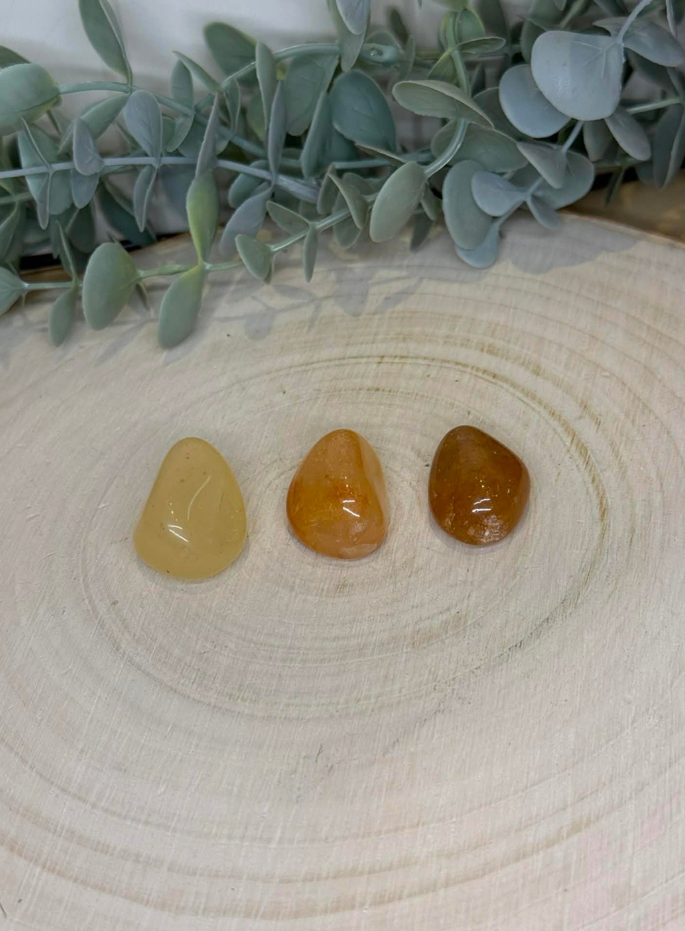 Golden Healer barattée