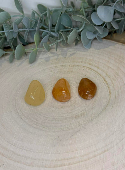 Golden Healer barattée