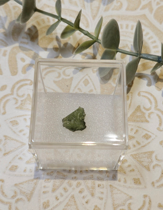 Moldavite brute