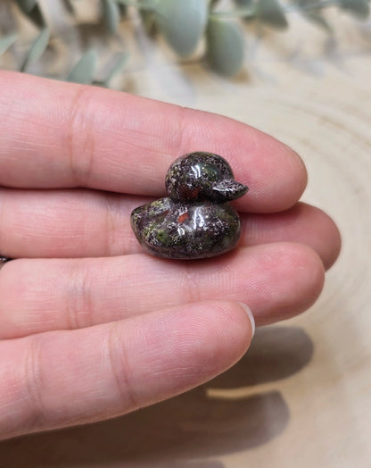 Canard Jaspe sang de dragon