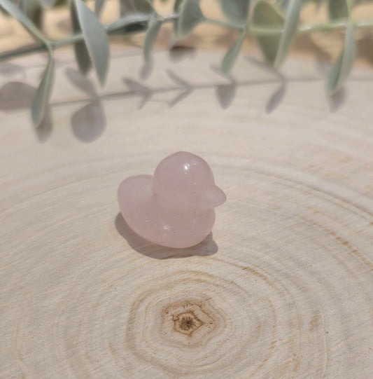 Canard Quartz rose