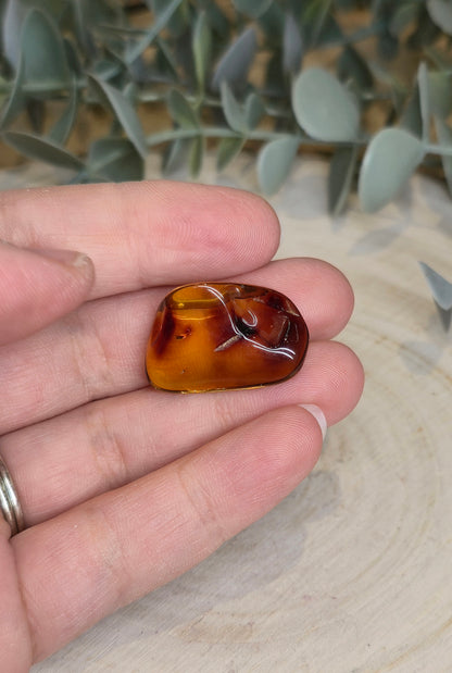 Ambre Baltique barattée